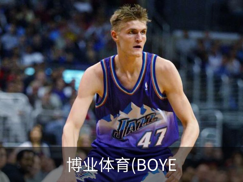 博业体育(BOYE概况